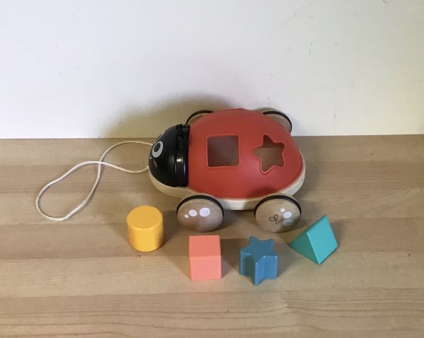 B042: Hape Ladybug Shape Sorter