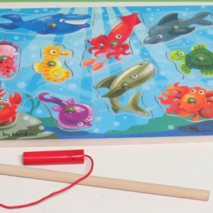 P014: Magnetic Fishing Puzzle
